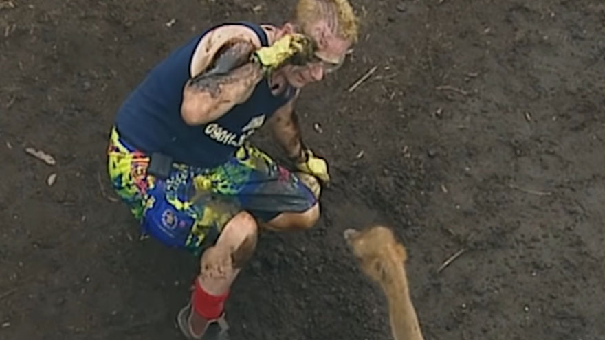 2004: Sex Pistols' John Lydon appeared on  I'm A Celebrity... and was pecked by ostriches